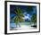 Beach on Bora Bora, Island of Tahiti, French Polynesia, The South Seas-null-Framed Art Print
