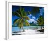 Beach on Bora Bora, Island of Tahiti, French Polynesia, The South Seas-null-Framed Art Print