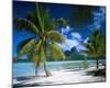 Beach on Bora Bora, Island of Tahiti, French Polynesia, The South Seas-null-Mounted Art Print