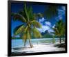 Beach on Bora Bora, Island of Tahiti, French Polynesia, The South Seas-null-Framed Art Print