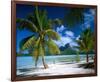 Beach on Bora Bora, Island of Tahiti, French Polynesia, The South Seas-null-Framed Art Print