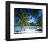 Beach on Bora Bora, Island of Tahiti, French Polynesia, The South Seas-null-Framed Art Print