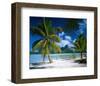 Beach on Bora Bora, Island of Tahiti, French Polynesia, The South Seas-null-Framed Art Print