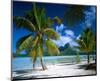 Beach on Bora Bora, Island of Tahiti, French Polynesia, The South Seas-null-Mounted Art Print