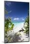 Beach on Desert Island, Maldives, Indian Ocean, Asia-Sakis Papadopoulos-Mounted Photographic Print