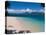 Beach on Fitzroy Island, Queensland, Australia-Michele Falzone-Stretched Canvas