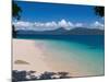 Beach on Fitzroy Island, Queensland, Australia-Michele Falzone-Mounted Photographic Print