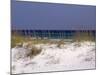 Beach on Gulf of Mexico, Al-Sherwood Hoffman-Mounted Photographic Print