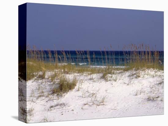 Beach on Gulf of Mexico, Al-Sherwood Hoffman-Stretched Canvas