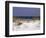 Beach on Gulf of Mexico, Al-Sherwood Hoffman-Framed Photographic Print