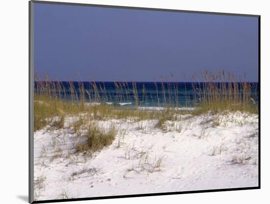 Beach on Gulf of Mexico, Al-Sherwood Hoffman-Mounted Photographic Print