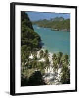 Beach on Ko Wat Ta Lap, Ang Thong National Marine Park, Ko Samui, Thailand-Michele Falzone-Framed Photographic Print