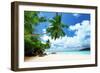 Beach on Mahe Island in Seychelles-Iakov Kalinin-Framed Photographic Print