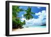 Beach on Mahe Island in Seychelles-Iakov Kalinin-Framed Photographic Print