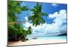 Beach on Mahe Island in Seychelles-Iakov Kalinin-Mounted Photographic Print