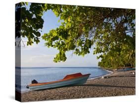 Beach on Savo Island, Solomon Islands, Pacific-Michael Runkel-Stretched Canvas
