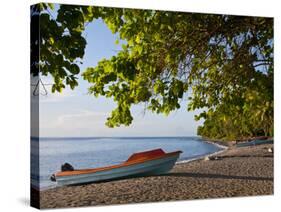 Beach on Savo Island, Solomon Islands, Pacific-Michael Runkel-Stretched Canvas