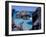 Beach on South Coast, Bermuda, Caribbean-Alan Klehr-Framed Photographic Print