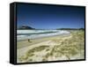 Beach on the East Coast of Coromandel Peninsula, South Auckland, North Island, New Zealand-Robert Francis-Framed Stretched Canvas