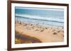 Beach on the Indian Ocean. India (Tilt Shift Lens).-Andrey Armyagov-Framed Photographic Print