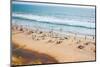 Beach on the Indian Ocean. India (Tilt Shift Lens).-Andrey Armyagov-Mounted Photographic Print