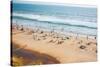 Beach on the Indian Ocean. India (Tilt Shift Lens).-Andrey Armyagov-Stretched Canvas