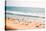 Beach on the Indian Ocean. India (Tilt Shift Lens).-Andrey Armyagov-Stretched Canvas