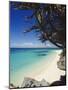 Beach on the North Coast of the Island of Boracay off the Coast of Panay, Philippines, Asia-Robert Francis-Mounted Photographic Print