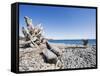 Beach on the Strait of Juan De Fuca, Victoria, Vancouver Island, British Columbia, Canada-Christian Kober-Framed Stretched Canvas