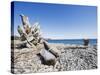 Beach on the Strait of Juan De Fuca, Victoria, Vancouver Island, British Columbia, Canada-Christian Kober-Stretched Canvas