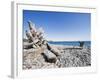 Beach on the Strait of Juan De Fuca, Victoria, Vancouver Island, British Columbia, Canada-Christian Kober-Framed Photographic Print