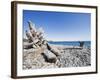 Beach on the Strait of Juan De Fuca, Victoria, Vancouver Island, British Columbia, Canada-Christian Kober-Framed Photographic Print