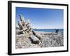 Beach on the Strait of Juan De Fuca, Victoria, Vancouver Island, British Columbia, Canada-Christian Kober-Framed Photographic Print