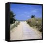 Beach on the West Coast, Ile de Re, Poitou-Charentes, France, Europe-Stuart Black-Framed Stretched Canvas