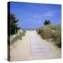 Beach on the West Coast, Ile de Re, Poitou-Charentes, France, Europe-Stuart Black-Stretched Canvas