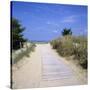 Beach on the West Coast, Ile de Re, Poitou-Charentes, France, Europe-Stuart Black-Stretched Canvas