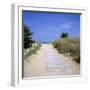 Beach on the West Coast, Ile de Re, Poitou-Charentes, France, Europe-Stuart Black-Framed Photographic Print