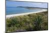 Beach on Tresco Island, Scilly Isles, United Kingdom, Europe-Peter Groenendijk-Mounted Photographic Print