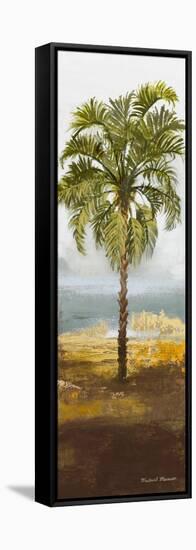 Beach Palm I-Michael Marcon-Framed Stretched Canvas