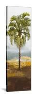 Beach Palm I-Michael Marcon-Stretched Canvas