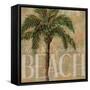 Beach Palm - Mini-Todd Williams-Framed Stretched Canvas