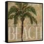 Beach Palm - Mini-Todd Williams-Framed Stretched Canvas