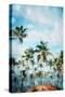 Beach Palm Out-Milli Villa-Stretched Canvas