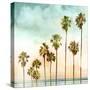 Beach Palms I-Devon Davis-Stretched Canvas