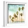 Beach Palms I-Devon Davis-Framed Art Print