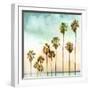 Beach Palms I-Devon Davis-Framed Art Print