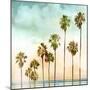 Beach Palms I-Devon Davis-Mounted Art Print