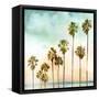 Beach Palms I-Devon Davis-Framed Stretched Canvas