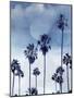 Beach Palms Indigo I-Devon Davis-Mounted Art Print