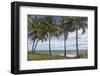 Beach Palms-Mary Lou Johnson-Framed Art Print